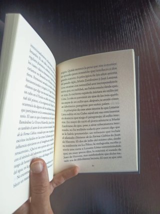 La belleza de lo figurado