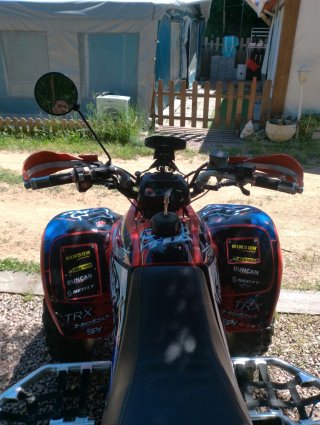 Honda TRX 250EX Quad Rojo/Azul