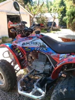 Honda TRX 250EX Quad Rojo/Azul