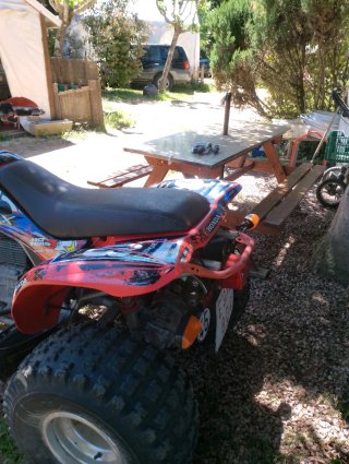 Honda TRX 250EX Quad Rojo/Azul