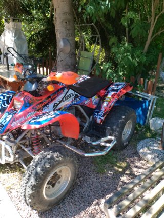 Honda TRX 250EX Quad Rojo/Azul