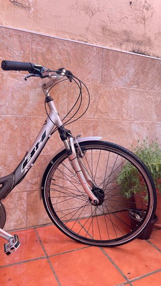 Bicicleta BH Oxford in Alluminio Grigio