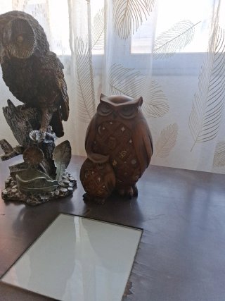 Figure di gufi decorative inviate