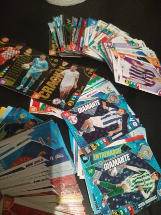 Cromos Panini 24/25