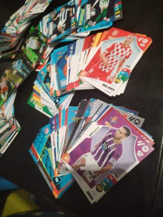 Cromos Panini 24/25