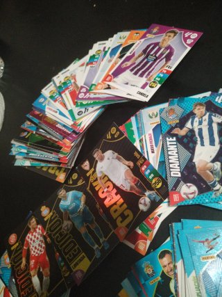 Cromos Panini 24/25