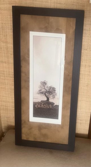 Cuadro árbol solitario enmarcado