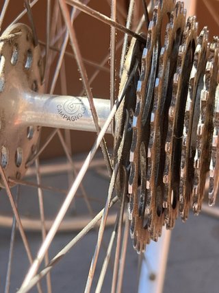 Ruedas Campagnolo Gran Sport 8 hoyos