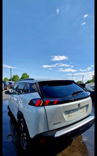 Despiece Peugeot 2008 (2024)