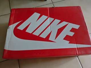 Nike Dunk High Retro PRM "Summit White / Phantom"