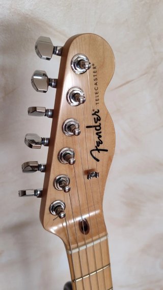 Fender Telecaster Standard