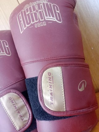 Guantes de Boxeo 10 oz Nuevos