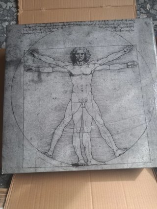 Hombre de Vitruvio Bronce y Mármol
