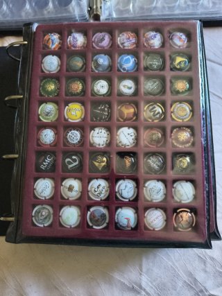 Álbum Chapas + 200 Unidades + Álbum Vacío