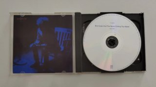 Bob Dylan and the Never Ending Tour Band (CD)