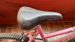 Bicicleta infantil 20” Eagle rosa con marchas