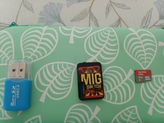Nintendo Switch Lite + Custodia + Cartuccia Mig