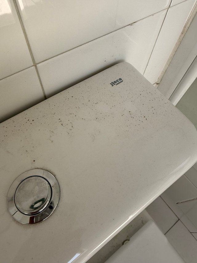 Conjunto de lavabo bidé inodoro y bañera Roca