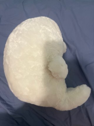 Peluche Foca Blanca Suave