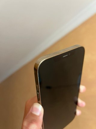 iPhone 12 Pro Max Oro