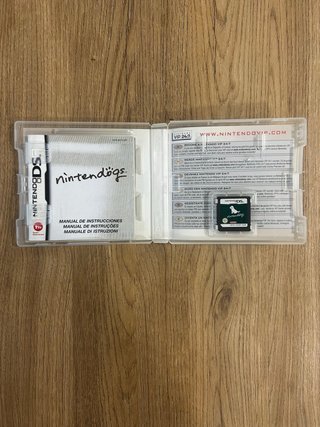 Nintendo DSi XL Edizione Mario Bros + Nintendogs