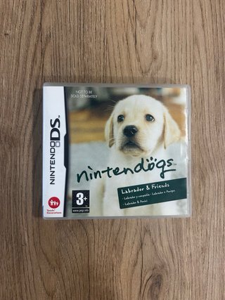 Nintendo DSi XL Edizione Mario Bros + Nintendogs