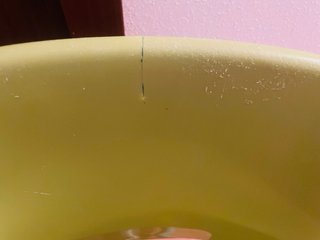 2 Sillas de Oficina Verde pistacho con Ruedas