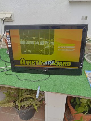 Televisión OKI 21 con soporte de pared