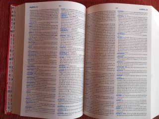 Diccionario Lengua española Secundaria y Bachiller