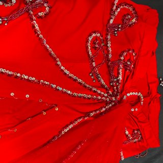Traje de Danza del Vientre Profesional - Rojo