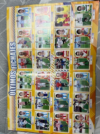 Colección Oficial LaLiga BBVA Cromos 2011-12 Panin