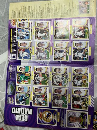 Colección Oficial LaLiga BBVA Cromos 2011-12 Panin
