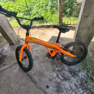 Bicicleta Monty Rueda 16