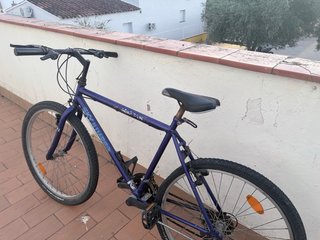 Bicicleta SKYJUMPER Morada