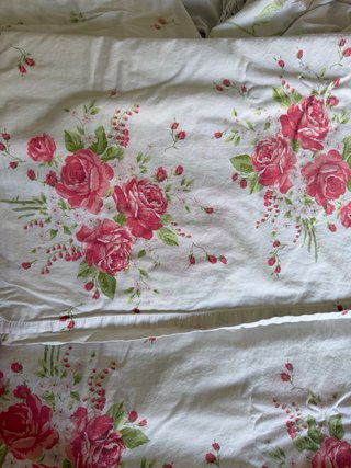 Set 2 Lenzuola Singole + Federa Rose