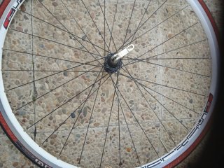 Rueda Delantera 700c