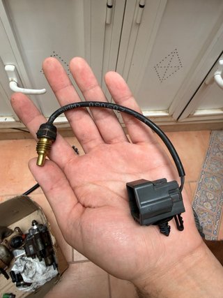 Sensor temperatura refrigerante Ford Focus