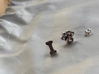 Orecchini Argento 925 Zampa Cane Osso