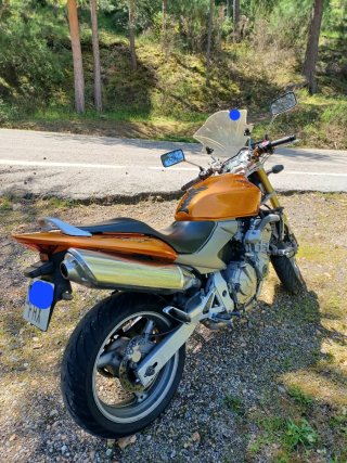Honda Hornet 600