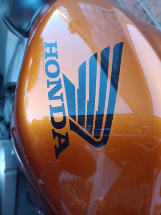 Honda Hornet 600