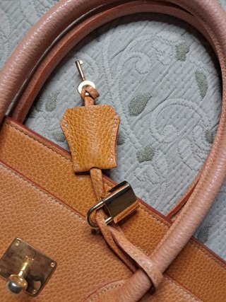 Bolsa Jarina. Model tipo Hermes  naranja oscura.