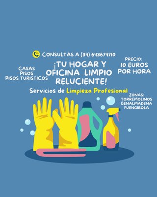 CABALLERO HAGO LIMPIEZA DE CASAS Y PISOS TURISTICO