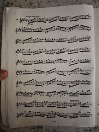 Estudios para violín Kreutzer