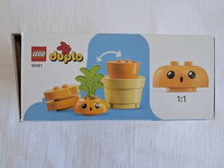 Lego Duplo Planta de Zanahoria, +18 meses