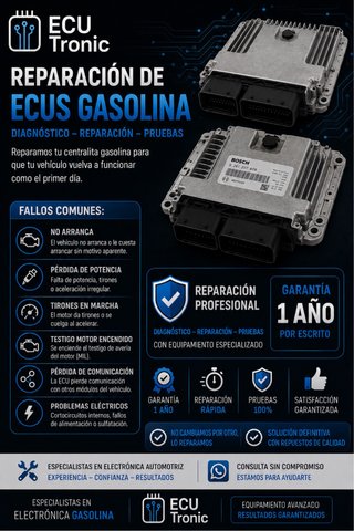 Reparación / Sustitución ECU Gasolina