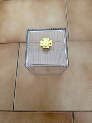 Caja de plástico transparente para almacenaje