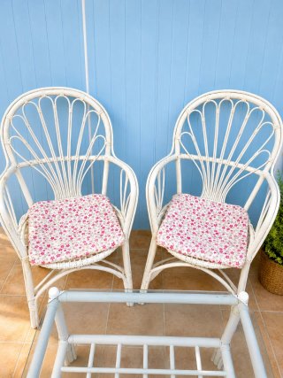 Conjunto Terraza Mimbre Blanco con Cojines Rosas