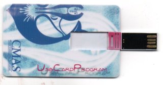 Chiavetta USB 4GB CMAS Card Sottile