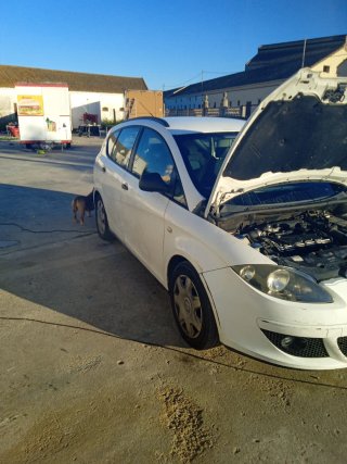 SEAT Altea 2007