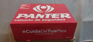 Zapatos de seguridad Panter